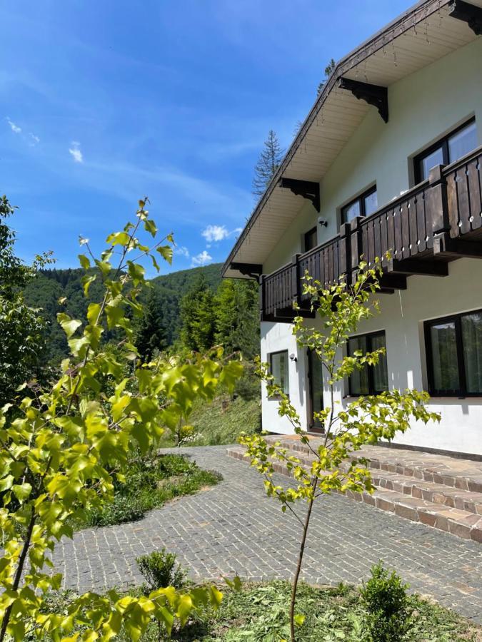 Cottage house Mizhhirya  Exterior photo