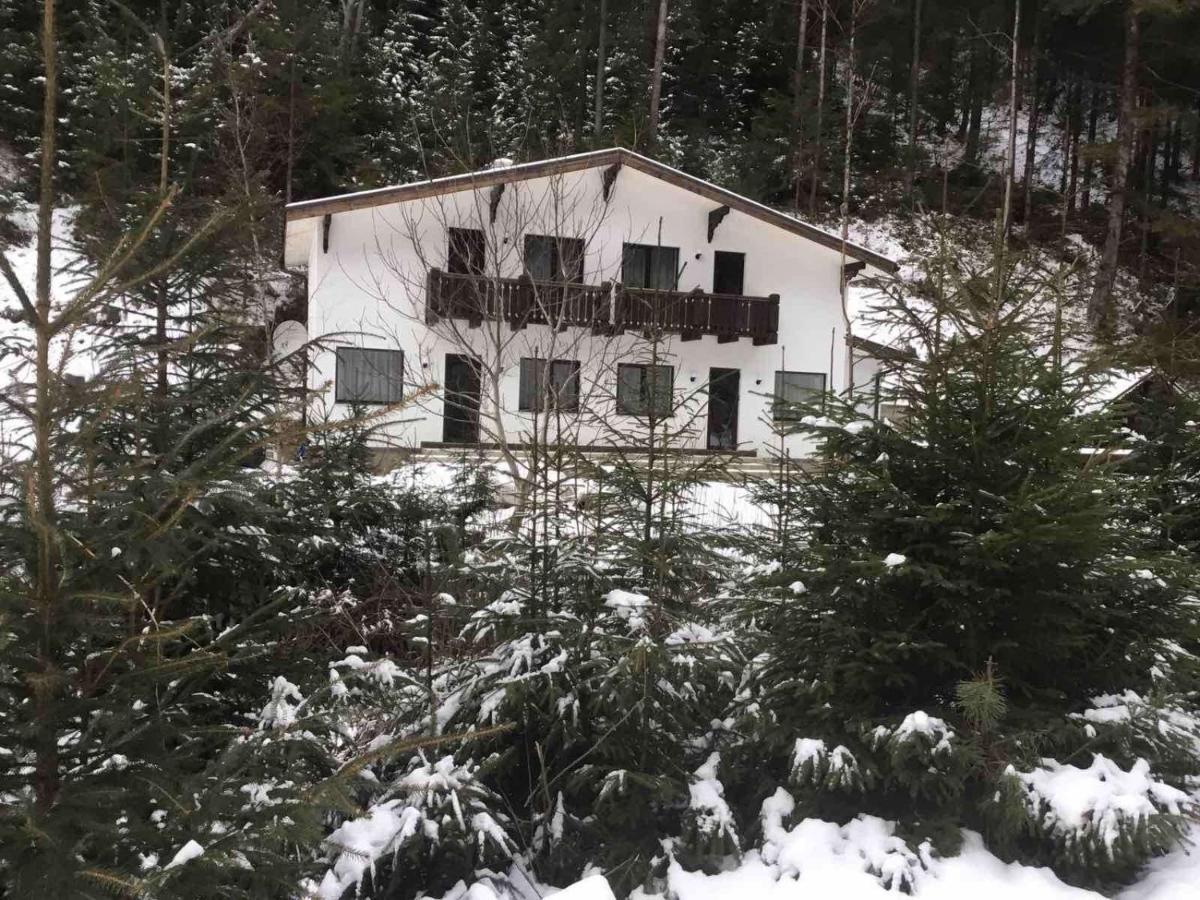 Cottage house Mizhhirya  Exterior photo