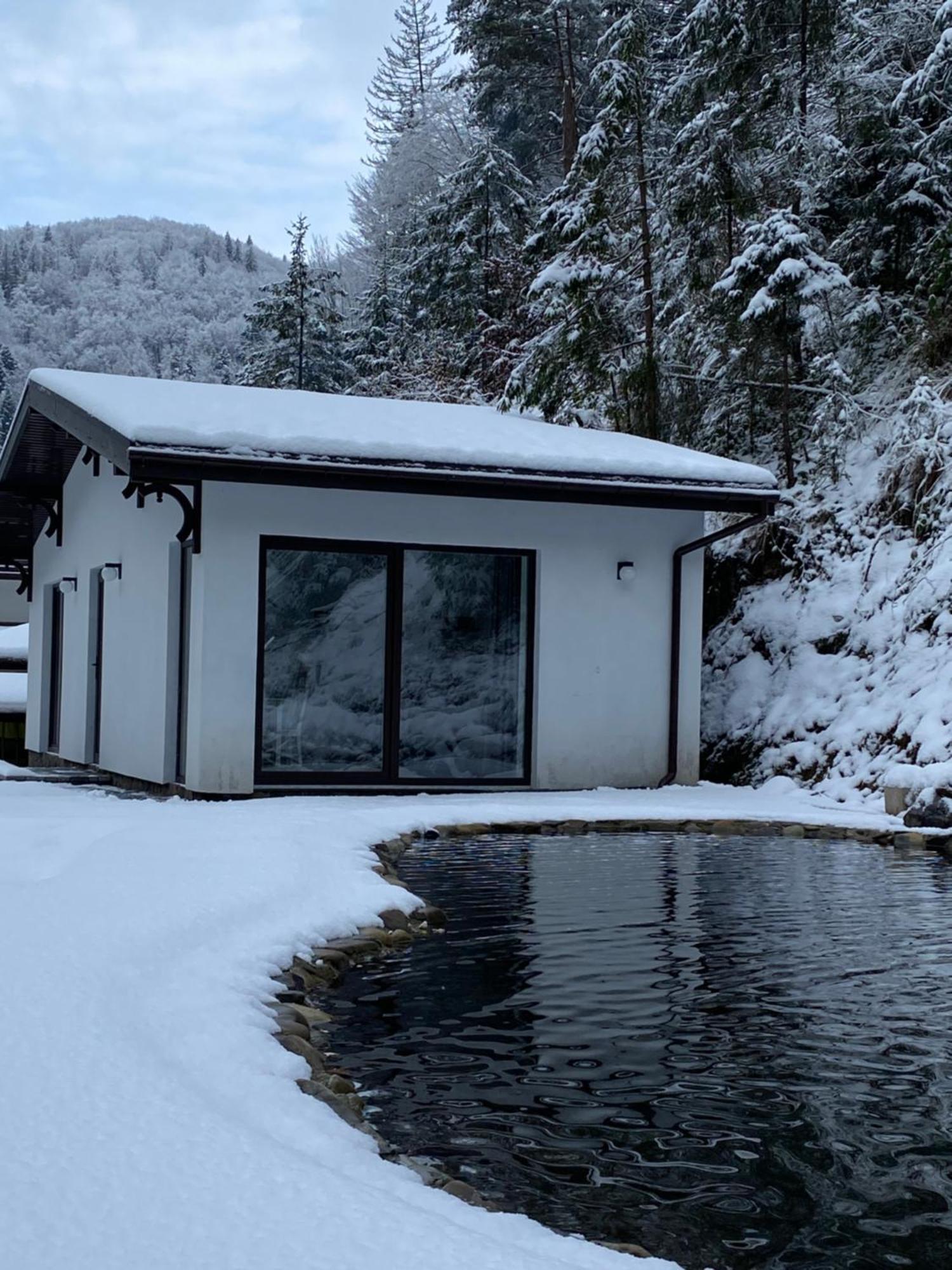 Cottage house Mizhhirya  Exterior photo